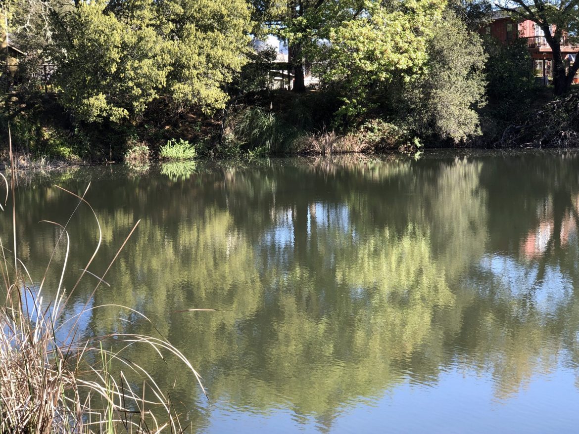 Cloverdale pond